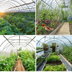 Rollo de Plástico Ecológico para Invernadero, Película Pequeña para Uso Doméstico, Personalización para Jardín y Uso Agrícola - Product Image 5