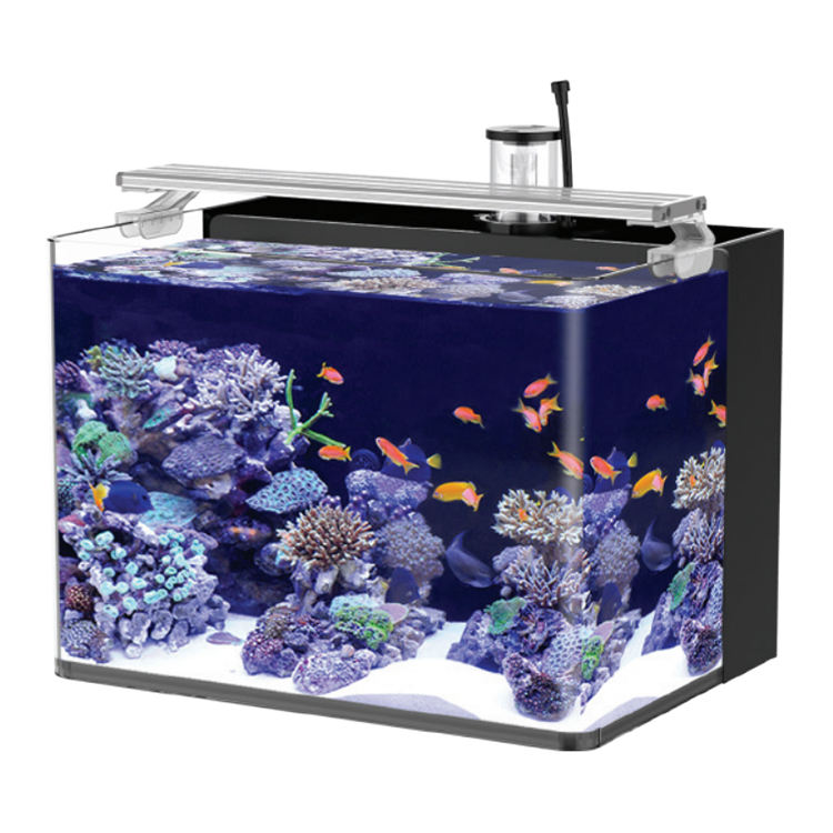 Acquario Urbyss Aqua Della 40x26x30cm - Vetro Curvo 5mm Con Accessori Completi - Foto 3