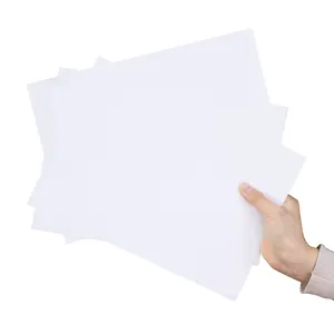 1220*2440mm 915*1830mm 1mm Thick White Glossy Plastic PVC Laminate Sheet Eco-Friendly Waterproof Glossy White PVC Sheet