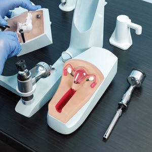 Modèle avancé de <span class=keywords><strong>formation</strong></span> en sciences médicales pour femme pour la <span class=keywords><strong>formation</strong></span> d'urgence en PVC contraceptif intra-utérin pour les étudiants médecins - Product Image 4