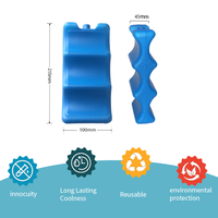 Refroidisseur de canettes en plastique réutilisables, glacière, bloc de glace, brique de glace en Gel