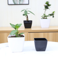 Yicai Décoration minimaliste moderne Petits pots et jardinières carrés Pot de fleurs d'extérieur