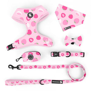 Arnés Personalizado para Mascotas, Arnés de Aventura para Perros, Collares y Correas, Pañuelo, Arnés de Exploración, Fabricante de Accesorios para Mascotas - Product Image 3