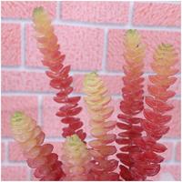 Planta Tropical Artificial de PVC Ecológica de Alta Simulación con Tacto Real para Decoración del Hogar, Uso en Interiores y Exteriores