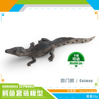 逼真塑料 PVC 仿真微型野生动物模型玩具鳄鱼模型套装儿童礼物