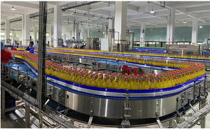 Línea de Producción de Bebidas de Jugo de Durazno en Botella de 500 ml, Paquete al por Mayor - Product Image 6