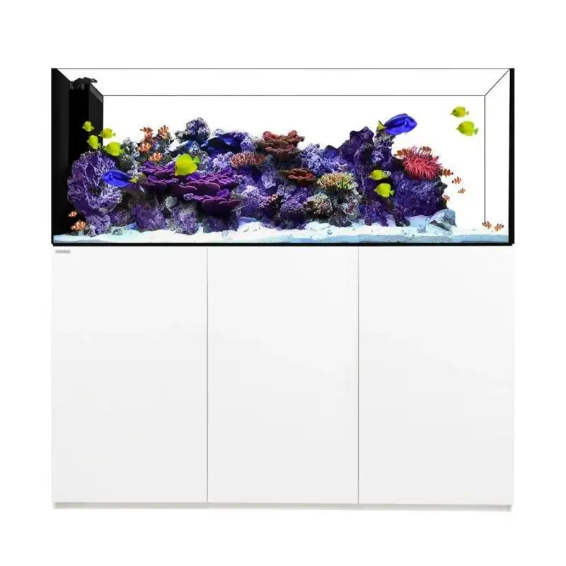 Waterbox Mer aquarium corail cylindre récif fond filtre cloison cylindre moyen et grand visualisation aquarium