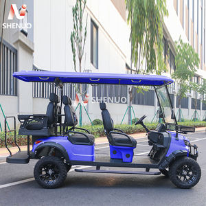 Carrito de Golf Eléctrico de 6 Pasajeros con Suspensión Independiente, Vehículo Utilitario, Homologado para Circular por Carretera, Buggy con Batería de Litio - Product Image 3
