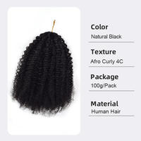 100g Cheveux vierges vietnamiens bruts Afro Kinky Curly 4C en vrac, qualité supérieure, sans nœuds, pour tresses, extensions au crochet, pour revendeurs