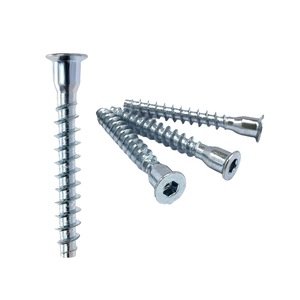 สกรูยึดผนังยิปซัมแบบกำหนดเอง เหล็ก C1022 หัว Torx Truss สำหรับงานไม้ กล้องซ่อนในตัว เคลือบไนลอน เจาะเองได้ เกลียวละเอียด ผลิตในเวียดนาม - Product Image 1