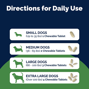 Integratore per Articolazioni di Cani Anziani OEM/ODM - <span class=keywords><strong>Compresse</strong></span> Masticabili a Base Vegetale con Glucosamina, Condroitina e Cozza Verde per il Sollievo dal Dolore - Product Image 6