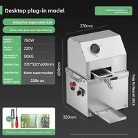 Mini presse à jus de canne à sucre en acier inoxydable, électrique, fonctionnant sur batterie, portable, pour la vente ambulante
