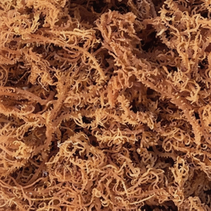ทะเลมอสจากเวียดนามผลิตจากทะเลแห้งผลิตจากธรรมชาติ - Product Image 1