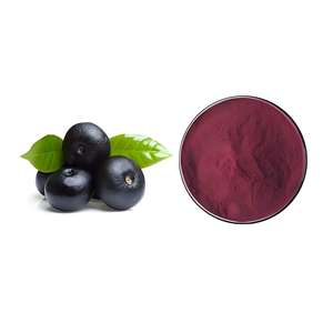Yüksek kaliteli 4:1-20:1 dondurularak kurutulmuş <span class=keywords><strong>Acai</strong></span> <span class=keywords><strong>Berry</strong></span> tozu fabrika doğrudan gıda sınıfı meyve özü polifenoller mevcut şişe davul - Product Image 3