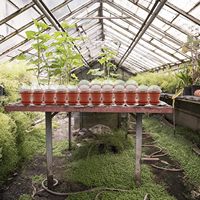 80pcs Pots de pépinière de plantes succulentes avec dôme d'humidité petits pots de fleurs en plastique avec soucoupes et pelle