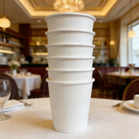Produits en pulpe de bagasse de canne à sucre 9oz 12oz 16oz, vaisselle jetable écologique, comprenant des couvercles et des assiettes à café