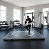Tapis de lutte pliable en PVC robuste de 10 mm d'épaisseur - Tapis d'entraînement BJJ - Cercle de frappe portable - Étanche - Directement de l'usine