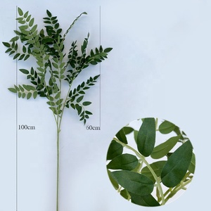 Feuilles artificielles d'acacia à branche unique H-718 pour arrangements floraux <span class=keywords><strong>de</strong></span> mariage et décorations événementielles - Product Image 5