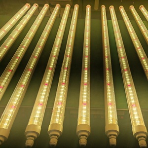 Barres LED T12 rouge et blanc UV pour la croissance des plantes, spectre complet pour l'agriculture, les serres et l'hydroponie - Product Image 6
