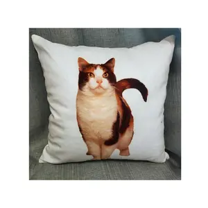 2024 RedSharkSub housses de coussin personnalisées courtes en peluche Polyester numérique Sublimation imprimé canapé housses de coussin taie d'oreiller