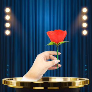 <span class=keywords><strong>Tour</strong></span> <span class=keywords><strong>de</strong></span> <span class=keywords><strong>magie</strong></span> : la torche se transforme en rose, illusion <span class=keywords><strong>de</strong></span> <span class=keywords><strong>flamme</strong></span>, accessoire <span class=keywords><strong>de</strong></span> <span class=keywords><strong>magie</strong></span> pour magicien professionnel - Product Image 2