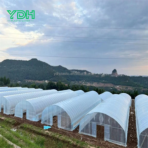 Grande petite serre isolée transparente Film plastique double PET PE pour semis de jardin Prix bon marché d'usine pour l'agriculture - Product Image 4
