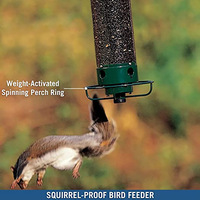 Mangeoire à oiseaux rotative anti-écureuil, non électrique, en fer forgé, pour nouveautés, AS08277 Zhejiang