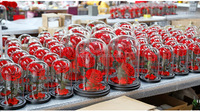 Dôme en verre décoratif personnalisé pour la Saint-Valentin Roses éternelles préservées immortelles pour toujours Idée cadeau florale unique