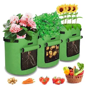 Sac conteneur de plantes de jardin en tissu Pots de fleurs en feutre