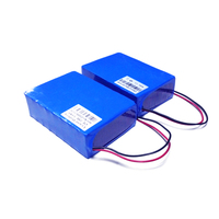 Pack de batteries rechargeables au lithium-ion 26650 8s3p 24V 10AH 9.6AH Pack de batteries Lifepo4 25.6v 9.6a 245.8w Cellules pour panneau solaire