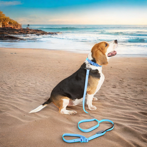 Harnais pour chien en PVC imperméable de haute qualité, petite taille, vente en gros, durable, course en plein air, ensemble de fonctionnalités personnalisées - Product Image 5