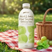 Nihewan Mint & Amla Vier Seizoenen Oolong Thee Bulk OEM ODM Aangepaste Verpakking Drankleverancier
