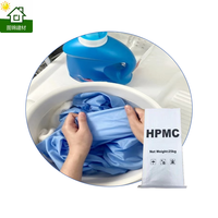 Poudre d'Éther de Cellulose HPMC de Marque TUJIN, Pureté 99%, Agent Auxiliaire Chimique pour l'Épaississement des Détergents