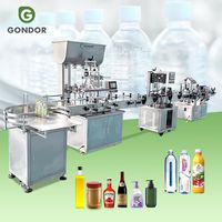 Ligne de machines automatiques de remplissage et de mise en conserve à 6 têtes pour détergent chimique, répulsif anti-moustiques, jus d'orange, liquide et huile