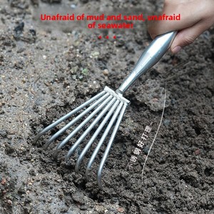 Outils de pêche en mer en acier inoxydable argenté : Râteau de plage et outil de défrichage <span class=keywords><strong>pour</strong></span> la plantation de fleurs, la recherche d'huîtres, de crabes et de coquillages - Product Image 2