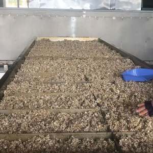 CAOUTCHOUC NATUREL SVR 10 HAUTE QUALITÉ pour la FABRICATION DE PNEUS DE L'USINE XJMS au VIET NAM - Product Image 2