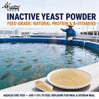 Poudre de levure inactif jaunâtre à brunâtre avec une odeur de levure unique, protéines hautement digestibles pour les aliments des porcs, volailles, animaux aquatiques et animaux de compagnie