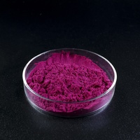 Usine de sucre naturel Beta Vulgaris extrait de racine de betterave rouge poudre de jus de betterave