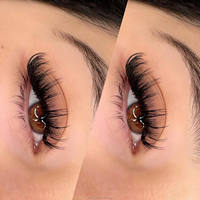 Kit Ekstensi Bulu Mata DIY Pre Glue 5D Volume Cluster Lashes Tanpa Lem, Tekan & Pakai, Tahan Air, Ramah Pemula, Campuran 10mm/12mm/16mm