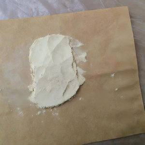 Pollens de kiwi en vrac à vendre - Livraison rapide, pollens à forte germination pour vergers de kiwi - Product Image 5