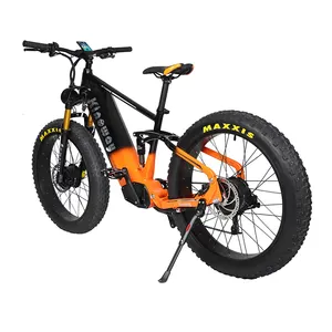 심천 제조 업체 도매 좋은 품질의 PAS 모델 20 인치 250w 산 지방 타이어 전기 자전거 성인 적 모든 지형
