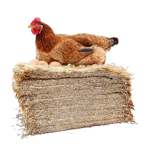 Tapis de nidification pour poules en fibre de coco, carré 13x13 pouces, pour poulailler - Product Image 5