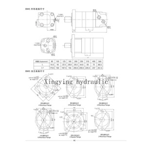 Moteur hydraulique orbital à faible vitesse et couple élevé BM5-80 BM5-100 BM5-125 BM5-160 BM5-200 BM5-250 BM5-315 BM5-400 BM5-500 - Product Image 1