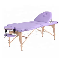 Table de Massage Portable Légère à 2 Sections avec Sac de Transport