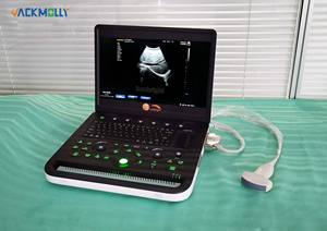 Instruments à ultrasons pour ordinateur portable médical JM-800C Scanner à ultrasons portable <span class=keywords><strong>Prix</strong></span> <span class=keywords><strong>Machine</strong></span> à ultrasons vétérinaire - Product Image 2