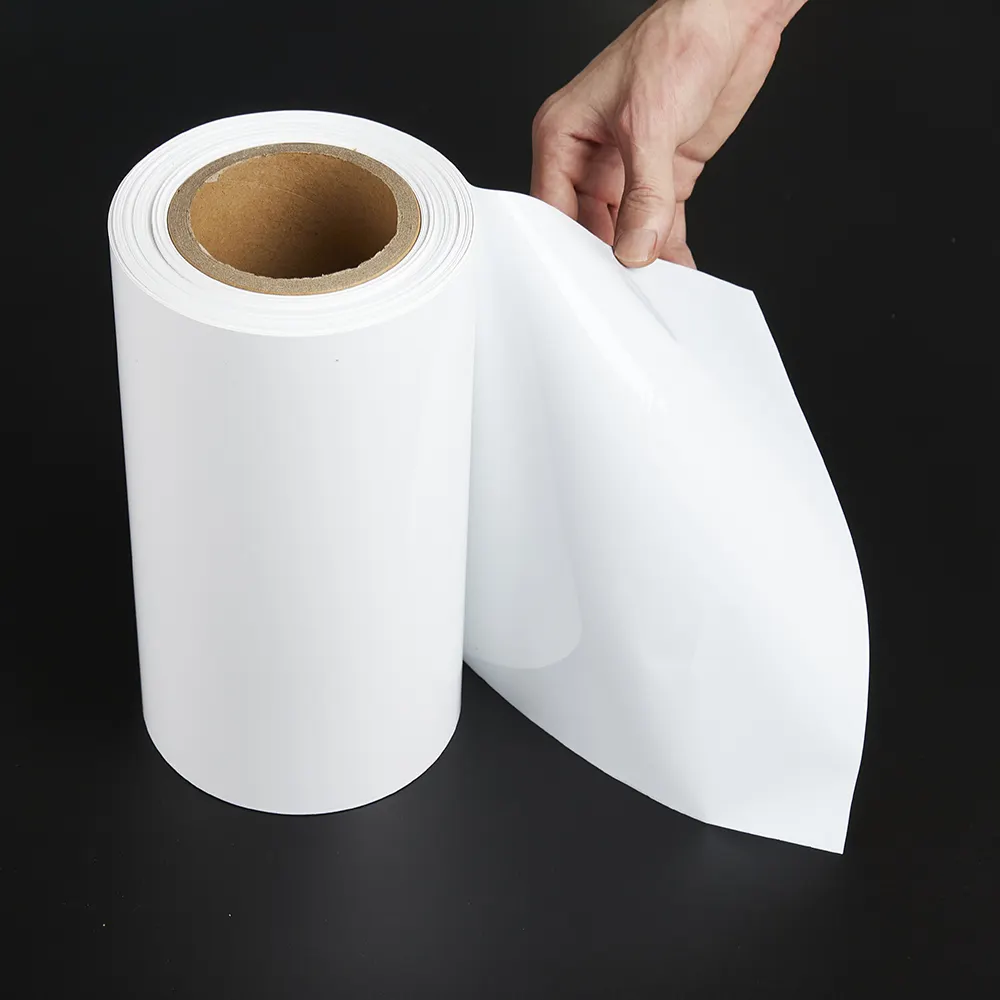 Recyclable Pet Film Plastic Packaging APET PET Plastic Sheet Plastic Roll PET Film APET white and black and Transparent