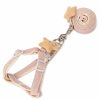 Ensemble laisse et harnais pour animaux de compagnie Star Charm, style dessin animé, réglable, durable, accessoires de promenade en plein air pour petits chiens, chiots, chats