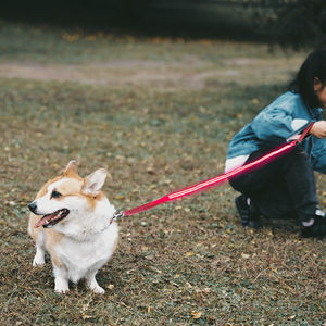Recargable iluminado brillo led de luz Correa paseo de noche - Product Image 3