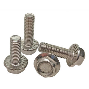 Sección de Adquisiciones, Fabricante de Pernos Hexagonales con Brida de Acero Inoxidable, Titanio y Acero al Carbono Personalizados, 5/16-18 - Product Image 4