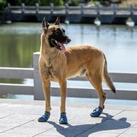 Chaussures de pluie pour chien Truelove, antidérapantes, imperméables, chaudes, en polaire, durables, luxueuses, respirantes, pour la randonnée, bottes souples pour animaux de compagnie